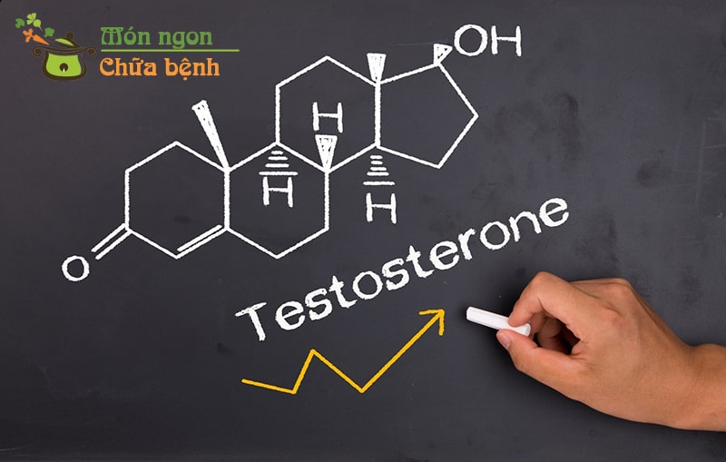 Testosterone là gì?