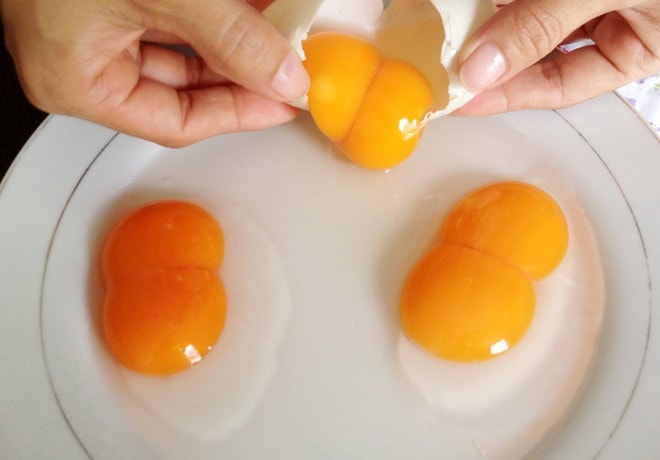 Lòng trứng gà màu nào là bổ dưỡng nhất 2