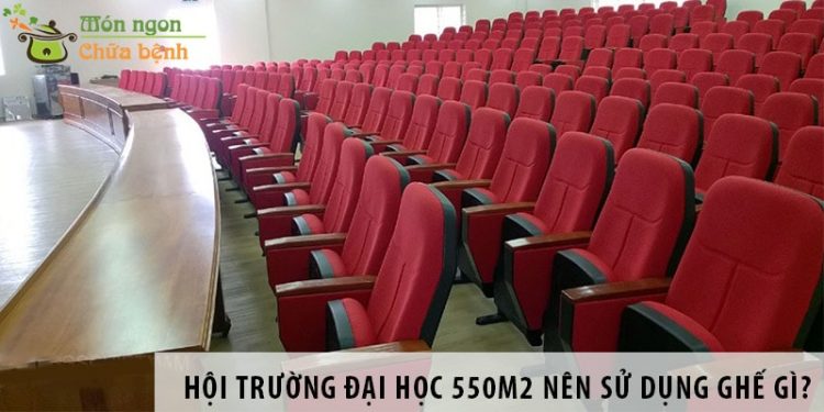 Thiết kế hội trường đại học 550m2 nên sử dụng ghế gì?